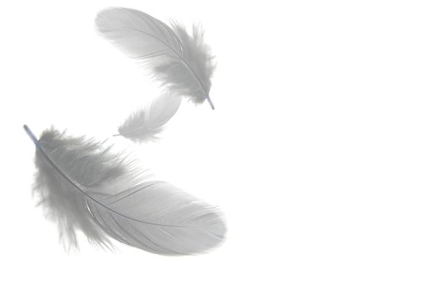 What does finding a GREY feather mean? 