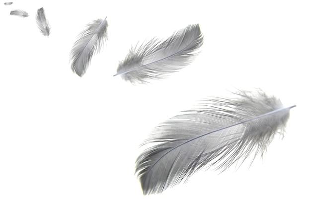 What does finding a GREY feather mean? 