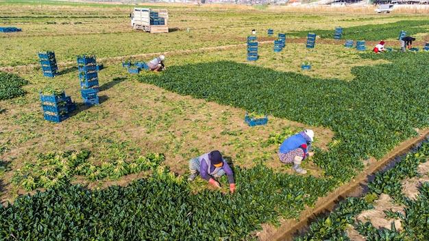 What does Lowes pay seasonal workers? 