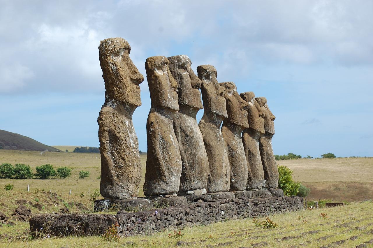 What happened to all the birds on Easter Island? 