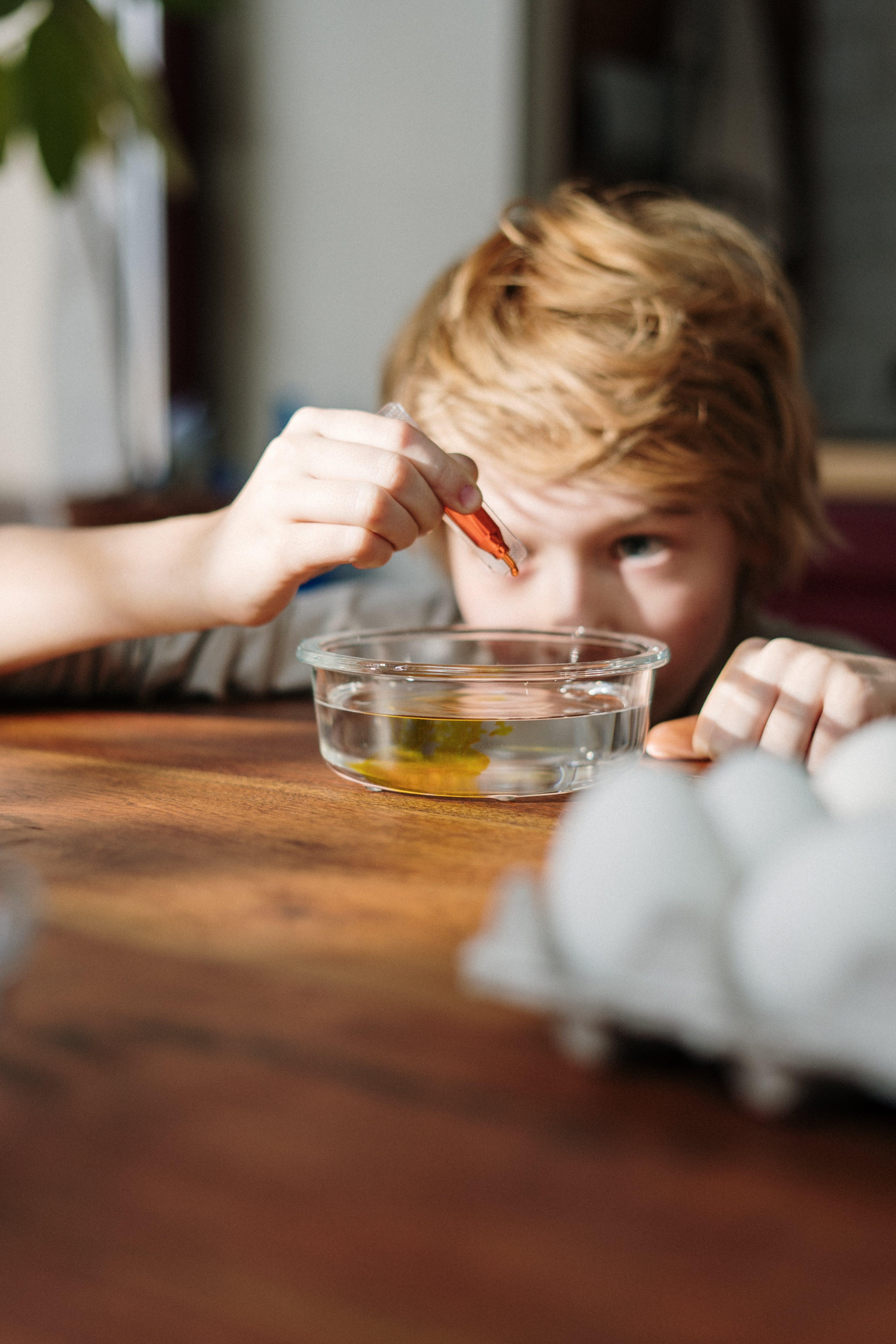 What happens when you add food coloring to water? 