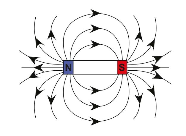 What happens when you break a bar magnet in half? 