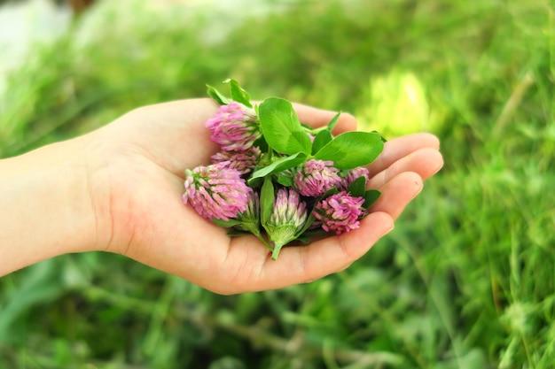 What is a handful of flower called? 