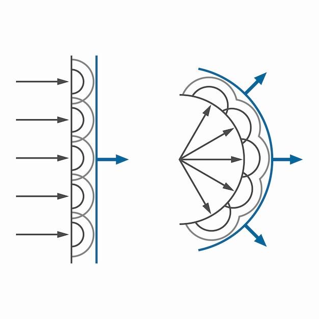 What is needed for light propagate? 