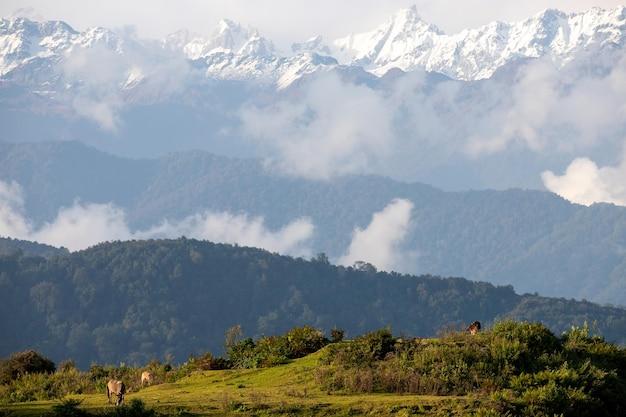 What is the distance of Bay of Bengal from Nepal? 