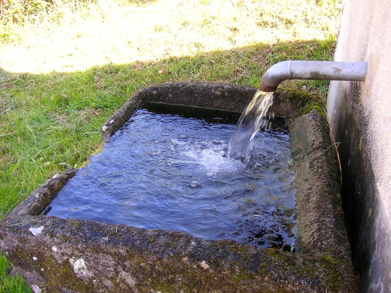 What is the function of water trough? 