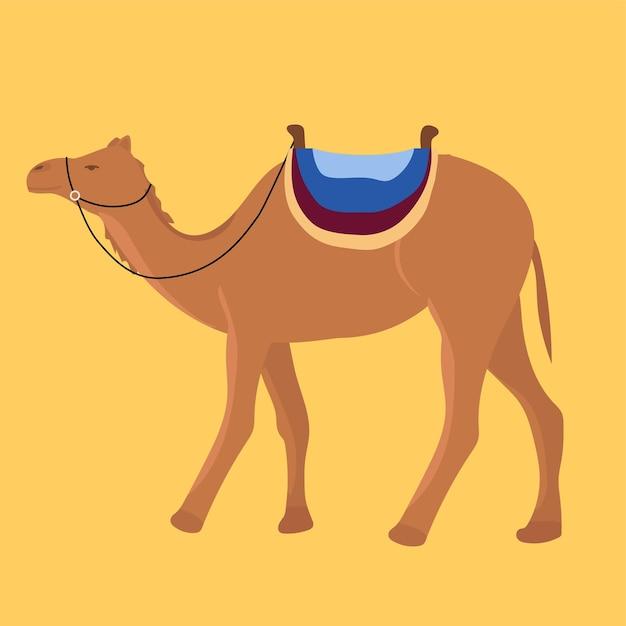 What is camels in the food chain? 