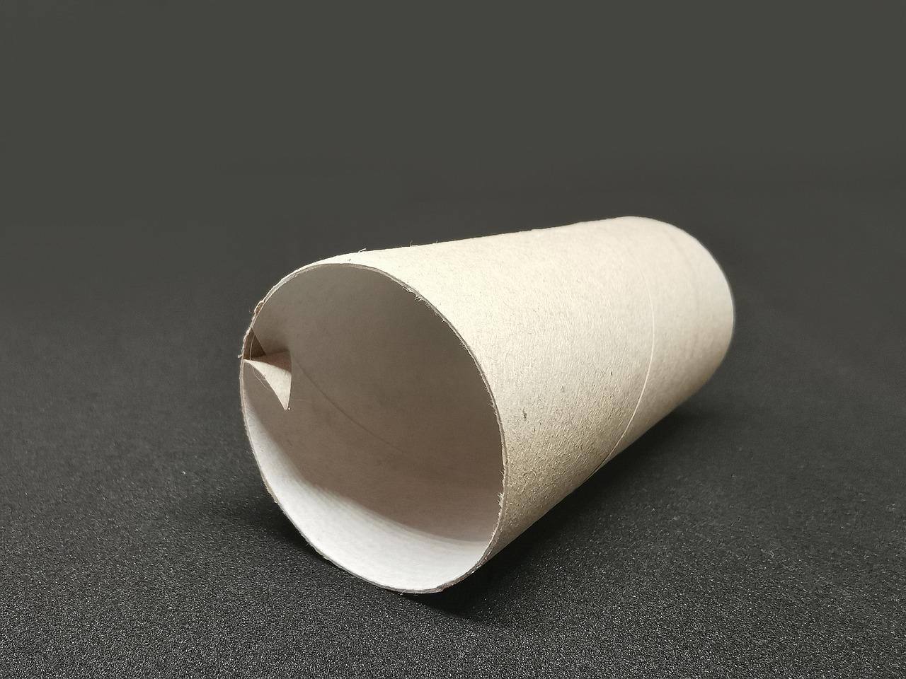 What is the thing inside the toilet paper called? 