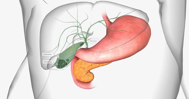 What percentage should your gallbladder be working? 