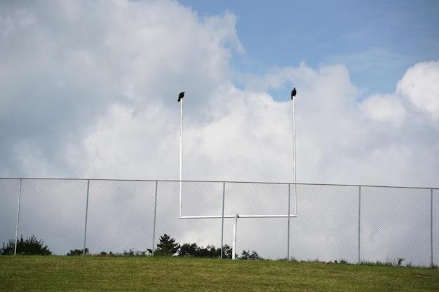 What size are GAA goals? 
