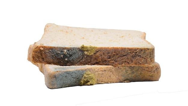 Which bread takes the longest to mold? 