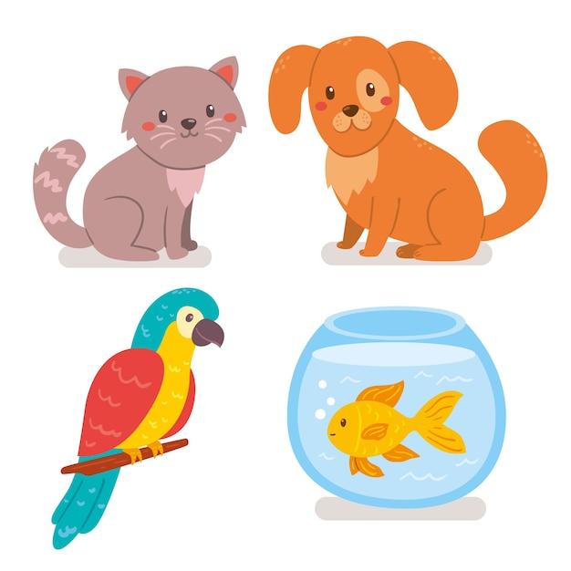 Which pet would you like to have and why? 