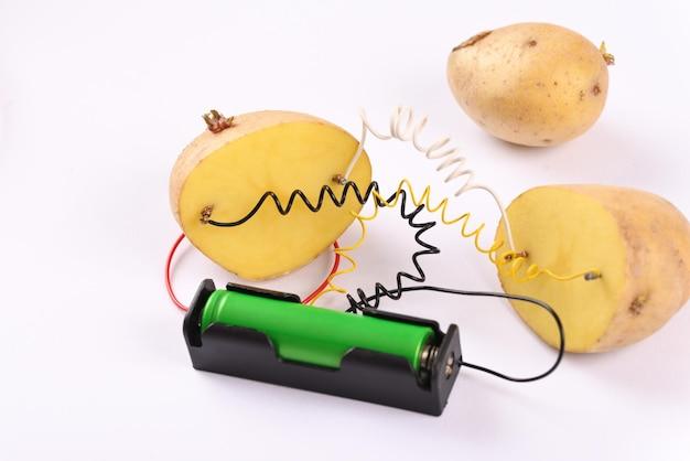 Who discovered potato battery? 