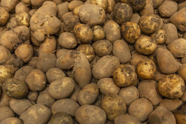 Why are Cyprus potatoes so good? 