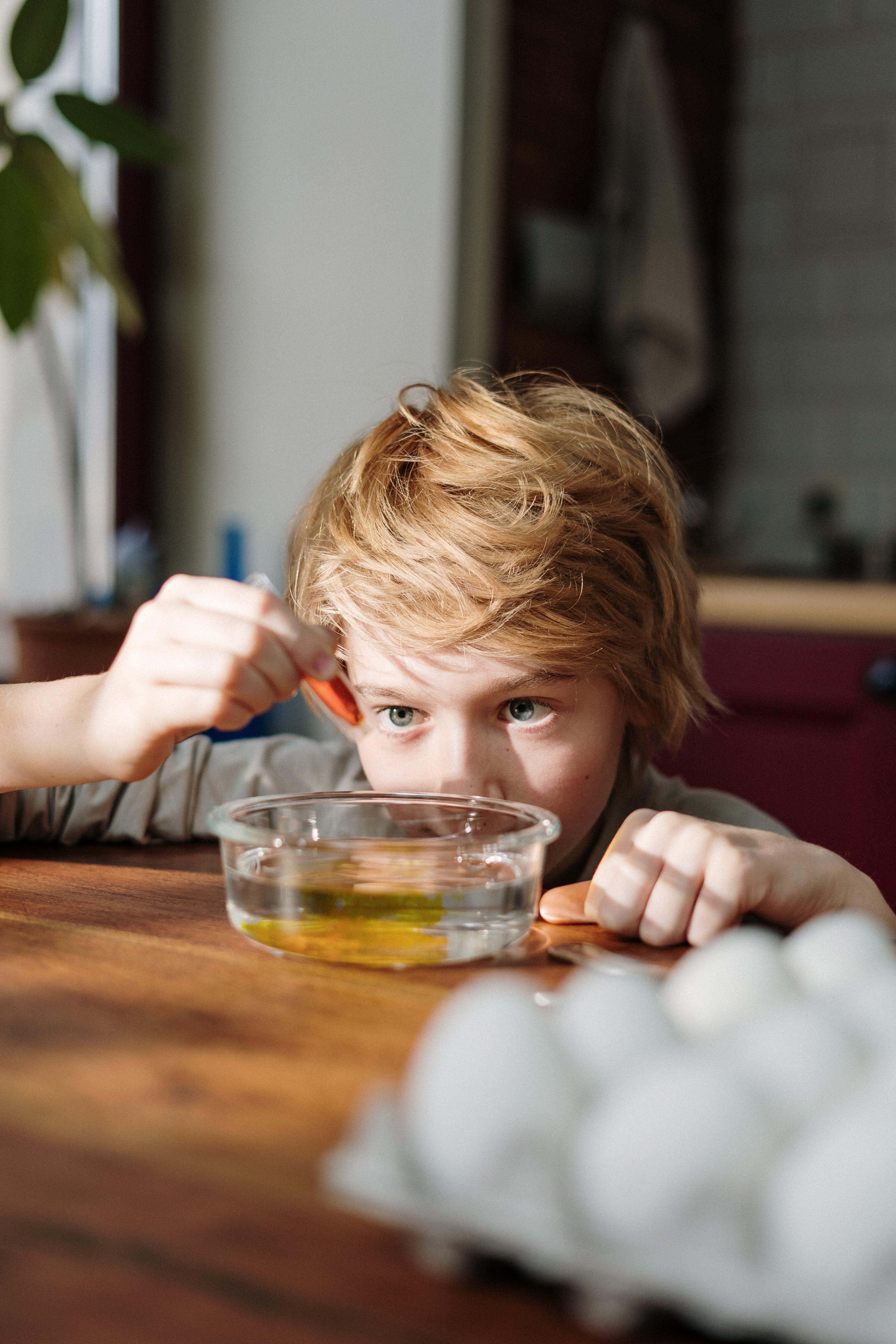 Why does food coloring change the color of water? 