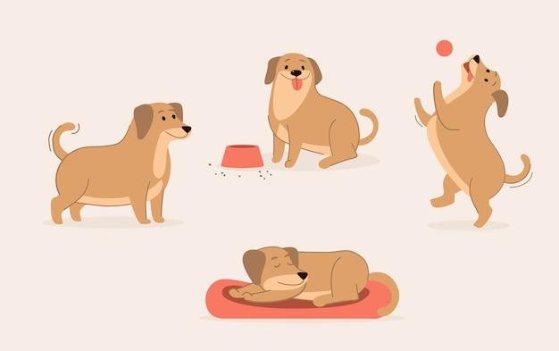 Why is a dog your favorite animal? 