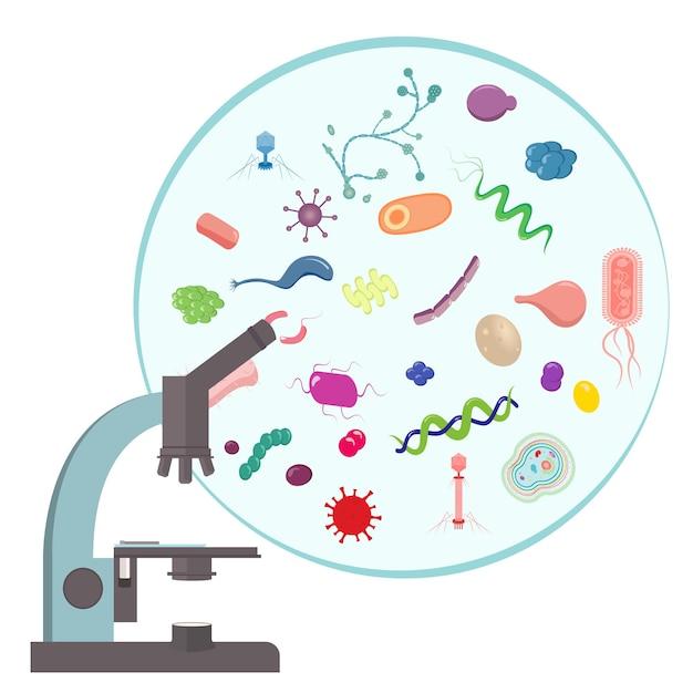 Why is specific base pairing important in DNA replication? 